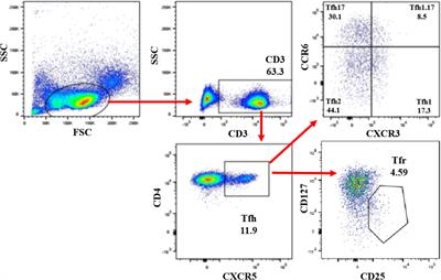 Phenotypes of peripheral CD4+ T helper cell subsets in pregnant women with HBeAg-negative chronic asymptomatic HBV carriers